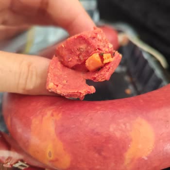 Polonez Sucuk, Sucuktan Başka Her Şey!