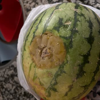 Migros Çürük Ürünleri Saklamamı İstiyor