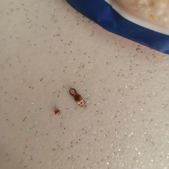 Funny Gıda Kelly's Yulaf Ezmesinden Böcek Çıktı