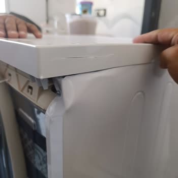 SEG Servis Le Alakalı