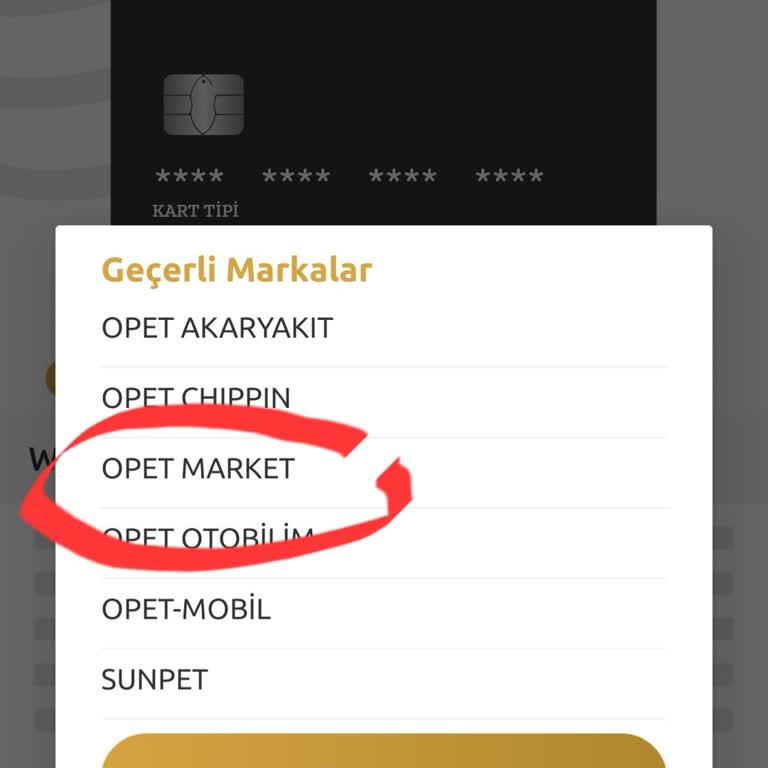 YKB World Puan Kullanmamak İzin Vermediler.