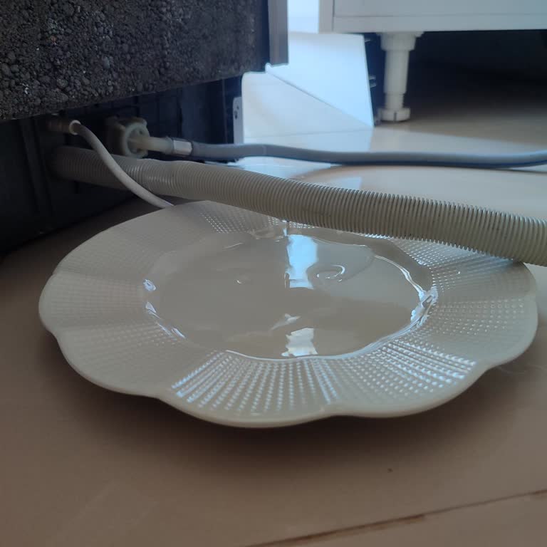 Vestel Dishwasher F2 and F5 Error Code Issue