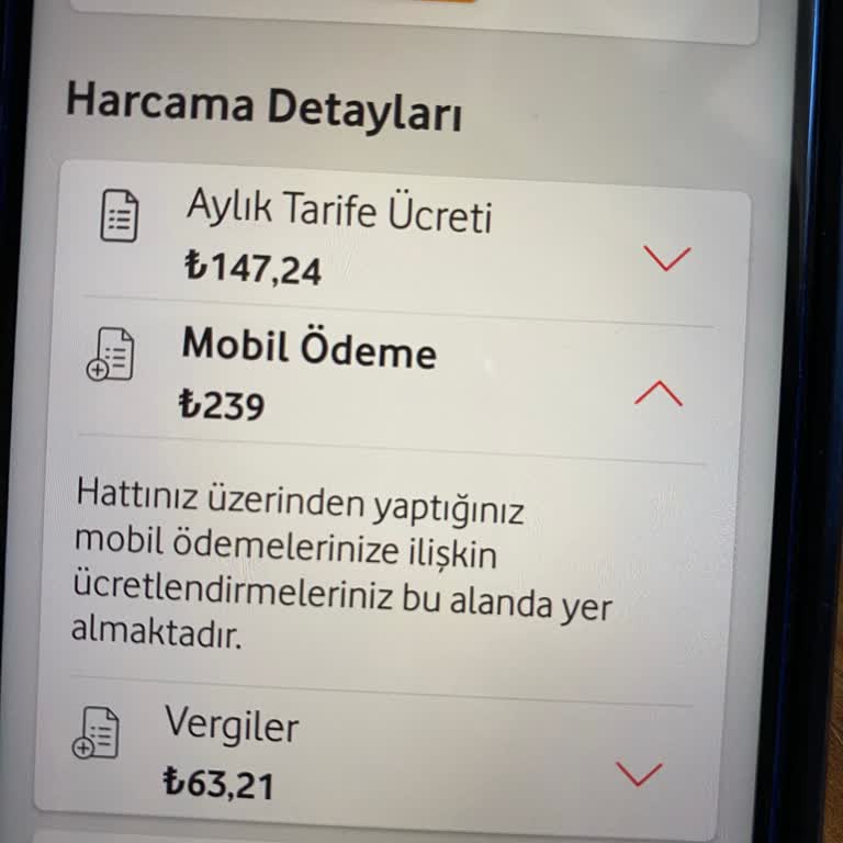 Vizyon Elektronik Para Tarafından Para Alındı!