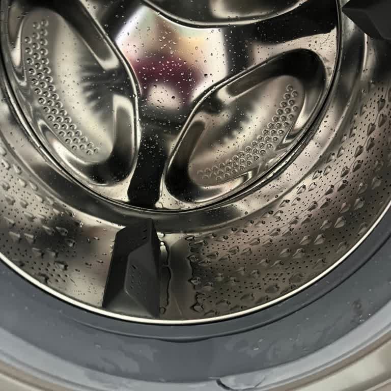 Arçelik 1 Yıllık Çamaşır Makinesi Lastik Sorunu Ve Yüksek Ücret Talebi