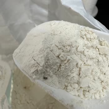 Nora Un 5 Kg'lik Pakette Böceklenme