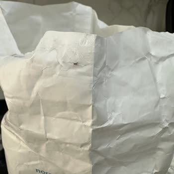 Nora Un 5 Kg'lik Pakette Böceklenme