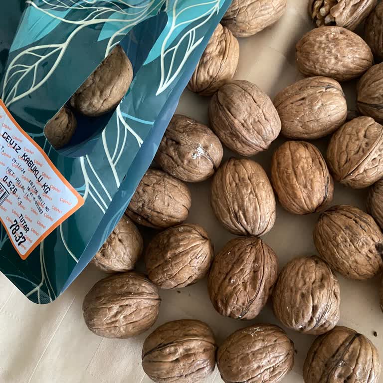 Çitlekçi İzmit Pause AVM Küflü Ceviz