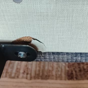 Weltew Home Afyon Ulaşım Sağlanılmıyor