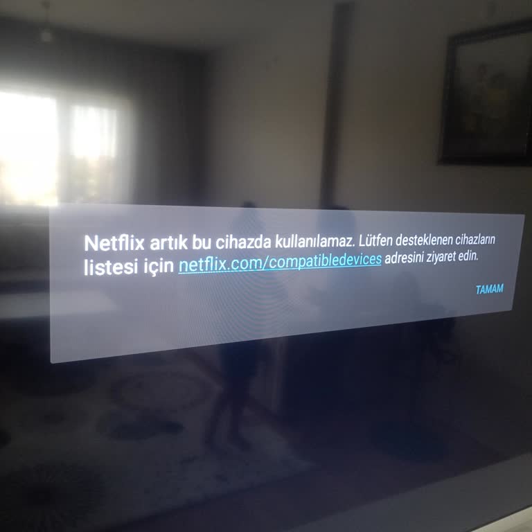 Onvo TV De Netflix Sorunu