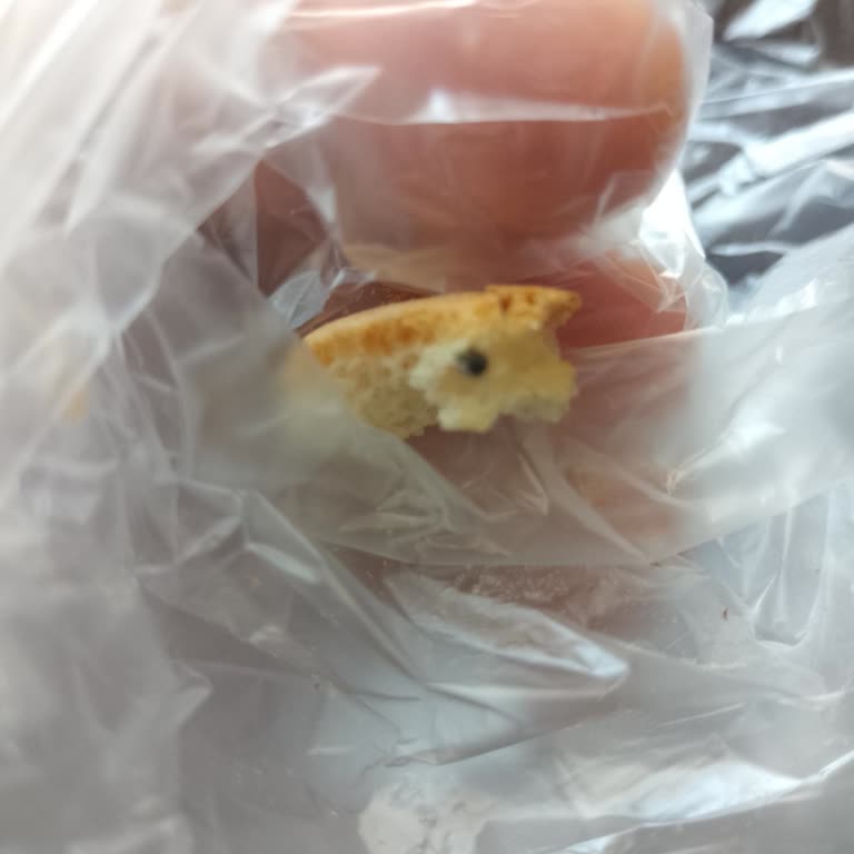 Akhisar Ekmek (Sultanbeyli) Ekmeğin İçinden Yabancı Madde Çıktı!