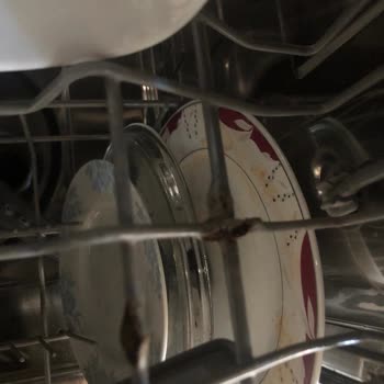 LG Bulaşık Makinesi Sepet Paslanması