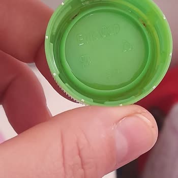 Fuse Tea İçecekte Böcek Şoku: Sağlığımız Tehlikede