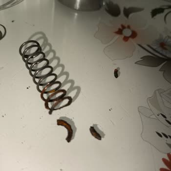 Tema Banyo Tema Duş Robotu Kronik Sorunları