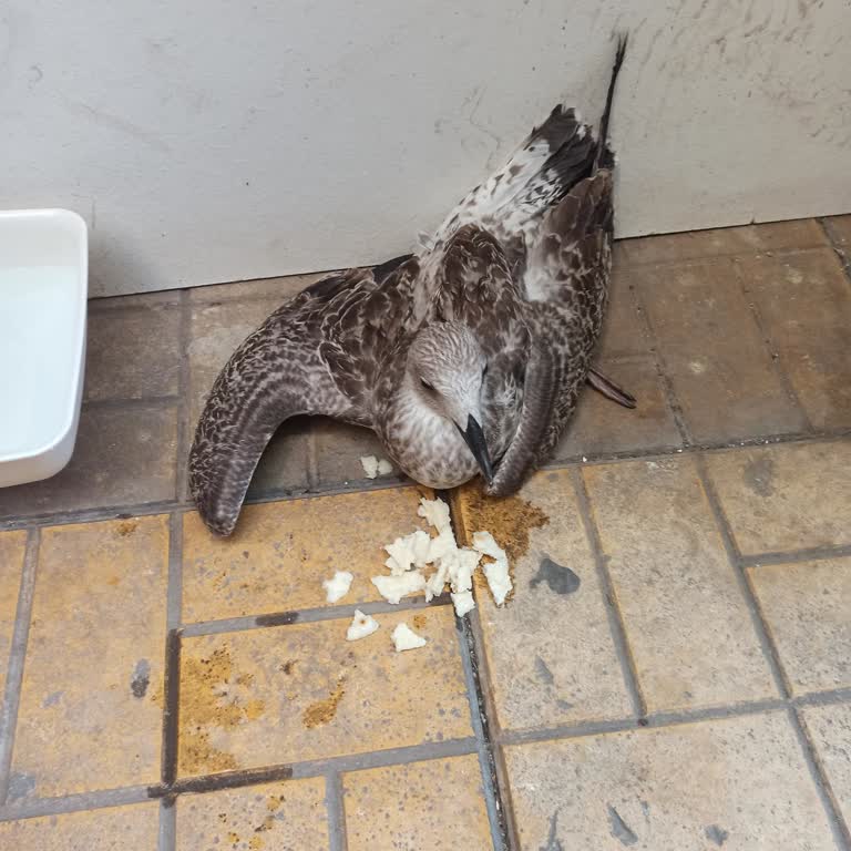 Tarım ve Orman Bakanlığı Timer 180 Ulaşılmıyor Geri Dönüş Yok