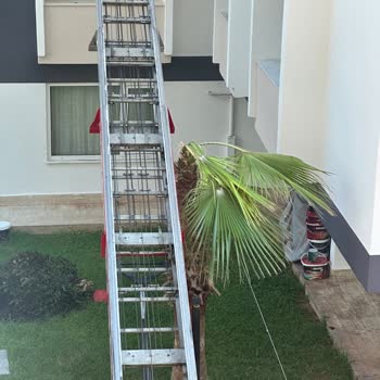 Antalya 07 Nakliyat 07 Nakliyat Ağaç Düşmanı