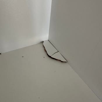 Vivense Mutsuzluk Pişmanlık Kalitesizlik