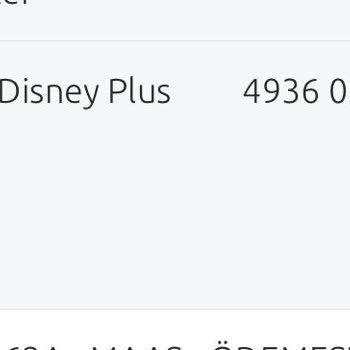 Disney Plus Üyelik Ücreti
