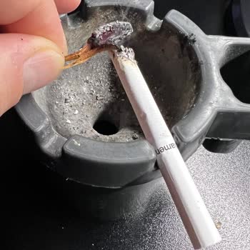 Parliament İnden Ağaç Çıkıyor