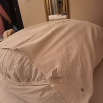 Simurg Gezi Müşteri Memnuniyeti Sıfır!