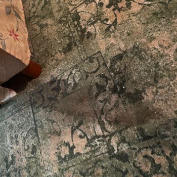 Simurg Gezi Müşteri Memnuniyeti Sıfır!