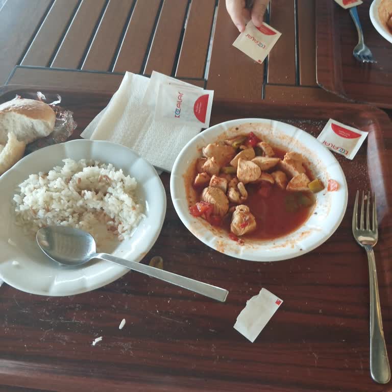 Kocalar Dinlenme Tesisleri Tavuk Sote-Pilav 😡😡😡