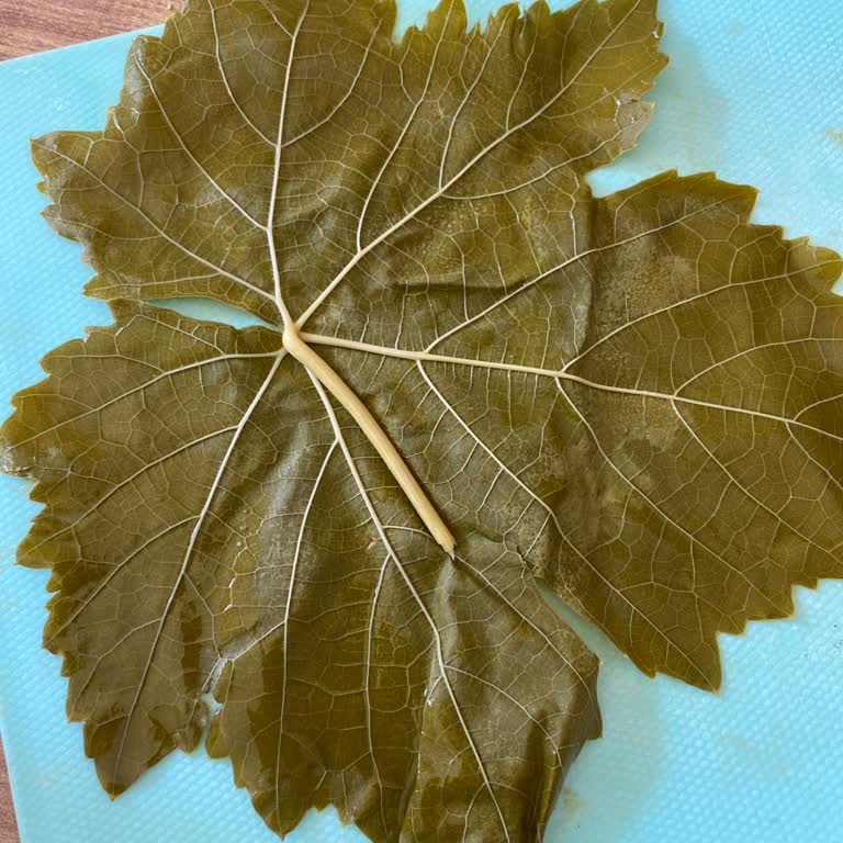 Yasmin Doğal (ege_salamur_) Aldığım Asma Yapraklarının Tazeliği Ve İletişim Sorunu