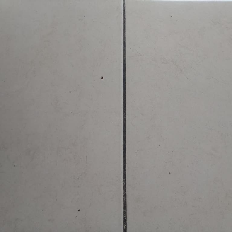 Reeder Teknik Destek Sorunu