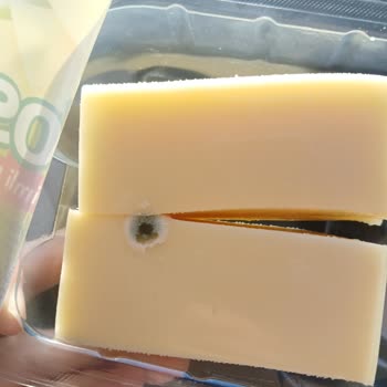 A101'den Aldığım Tost Peyniri Küflü Çıktı, Değişim Yapılmadı!