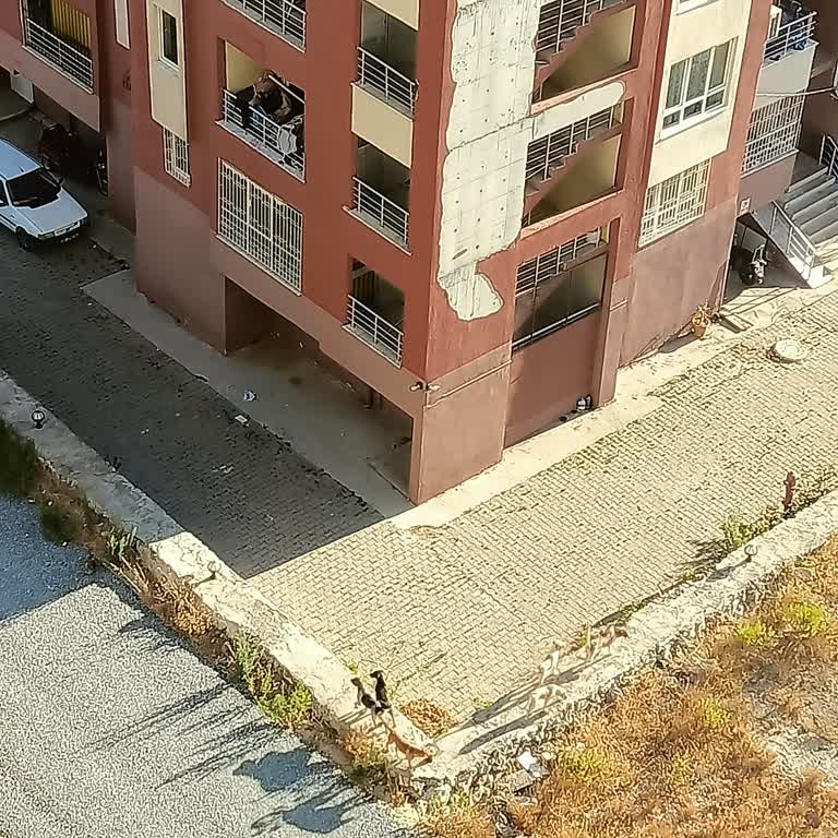 Kuşadası Belediyesi Köpek Sorunu Uydukent