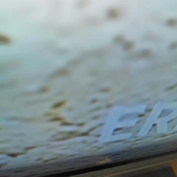 Vestel Televizyon İçinde Kelebek!