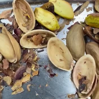 Hacı Asım Bey (Gaziantep) Kurtlu Fıstık Satılıyor!