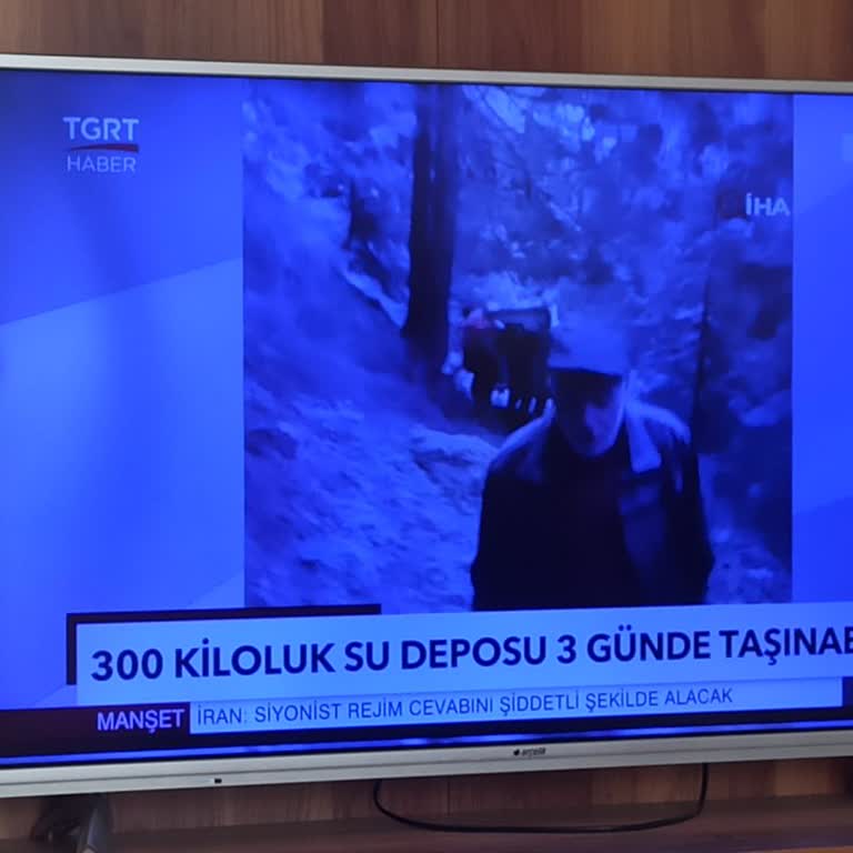 Arçelik TV'nin Kronik Ekran Sorunu Ve Çözüm Beklentisi