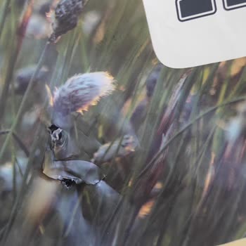 PttAVM Kedi Maması Siparişimde Paketin Yırtık Gelmesi