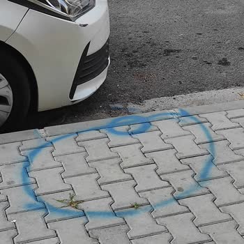 TEDAŞ'ın Arızaya Müdahalesi!