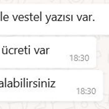 Vestel Derin Dondurucu'nun Yazısı Düştü