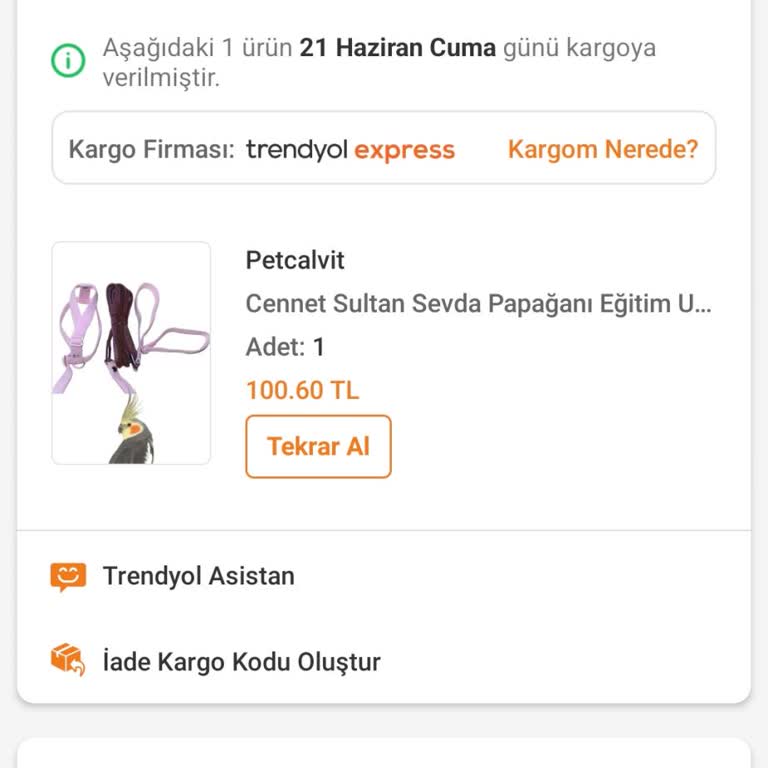Trendyol Da Aldığım Siparişim Gelmedi