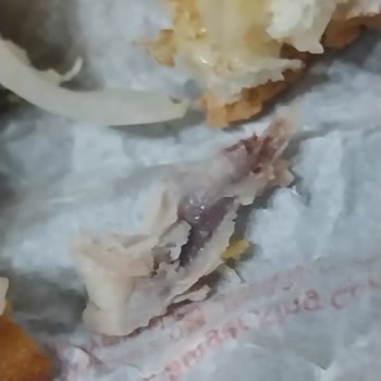 Burger King Tavuktan Kemik Çıktı.