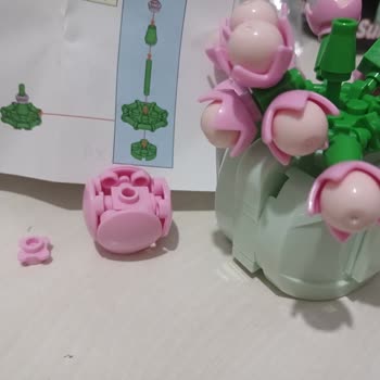 Gokidy Blok Sukulent Ürününde Parçalar Eksik