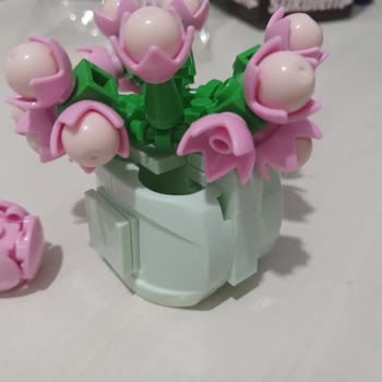 Gokidy Blok Sukulent Ürününde Parçalar Eksik