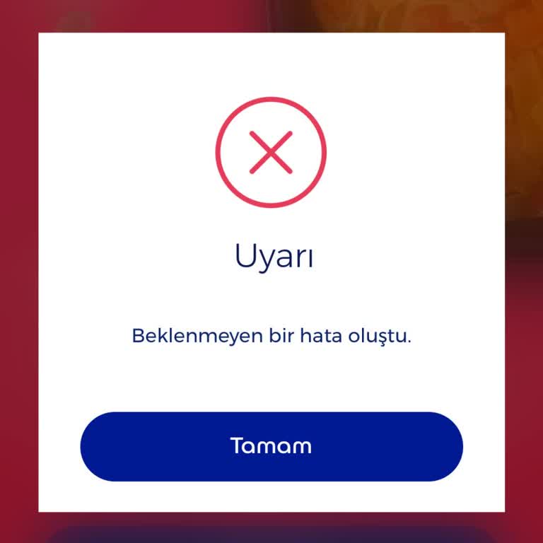 Ticket Restaurant Ederned Ticket Uygulama Hatası