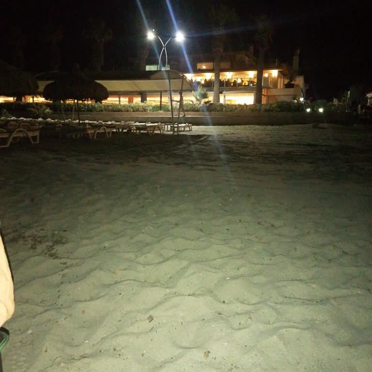 Palm Wings Kuşadası Beach Resort Palm Wings İn Sahil İşgali