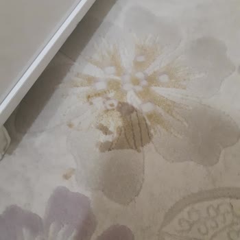 Yemek Sepeti Hatası