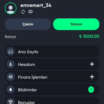 Baywin Parayı Yaptırdığım Halde Param Hesabıma Gelmedi