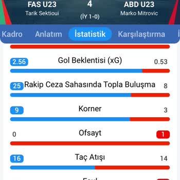 Nesine İddia Bahis Hatası