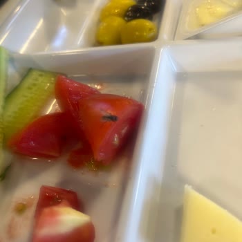 Çankırı Çerkeş'teki Köfteci Yusuf'ta Sinekler Yüzünden Yemek Yenmiyor
