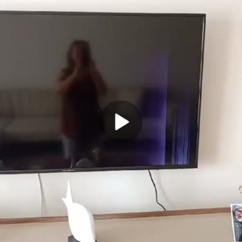 Skytech Ses Var Görüntü Yok.