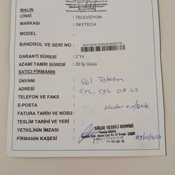 Skytech Ses Var Görüntü Yok.