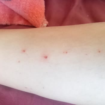 Sea Color Mağduriyetim