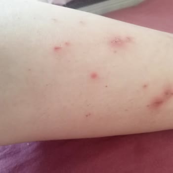 Sea Color Mağduriyetim