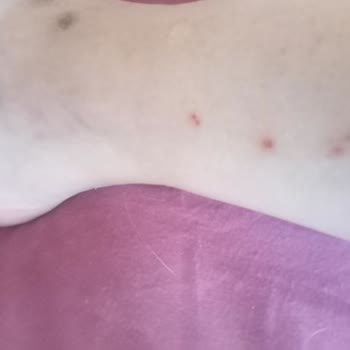 Sea Color Mağduriyetim